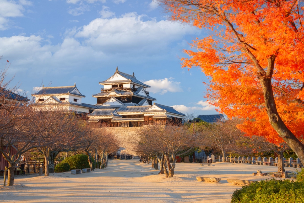 A146愛媛-松山城_shutterstock_2191770067_0